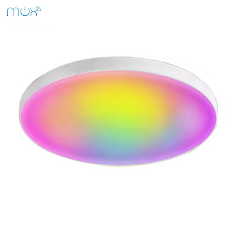 Smart Ceiling Light