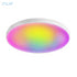 Smart Ceiling Light