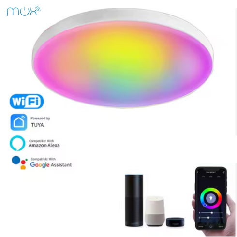 Smart Ceiling Light