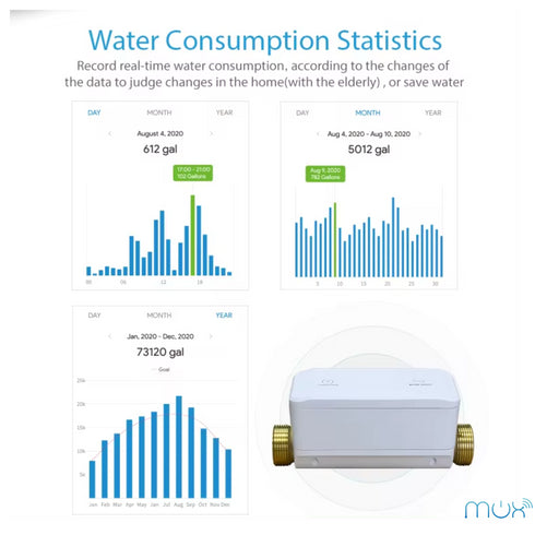 Smart Water Valve and Flow Meter