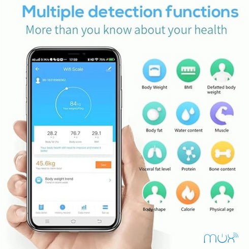 Smart WiFi Weighing Scale