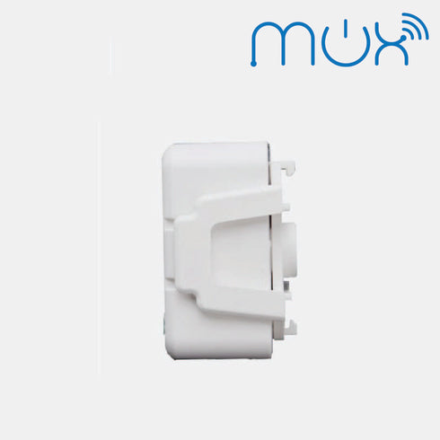 WiFi 2 Gang Switch Module