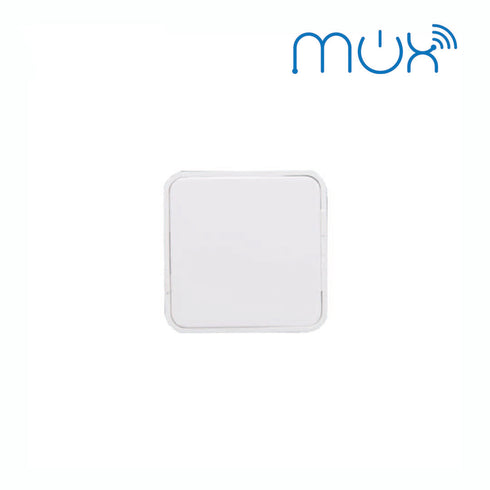 WiFi 2 Gang Switch Module