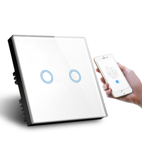 WiFi 2 Gang Smart Switch